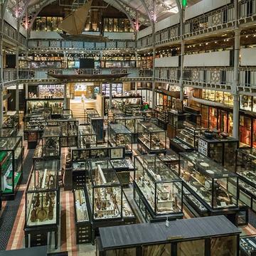 pitt rivers museum main court credit ian wallman c pitt rivers museum university of oxford